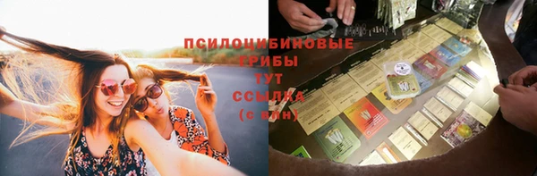 бошки Армянск