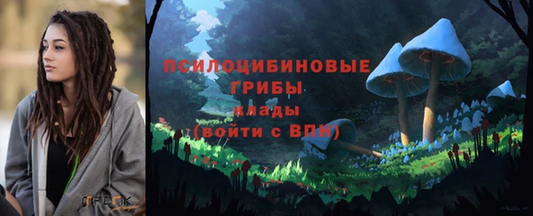 MESCALINE Аркадак